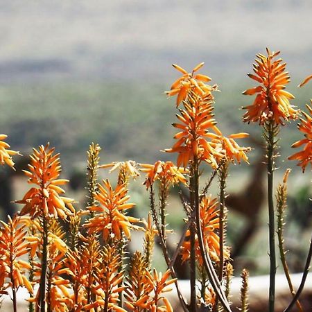 Cortijo El Paraíso Los Escullos Exterior foto